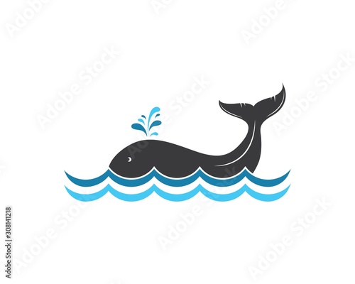 whale tail icon vector illustration design
