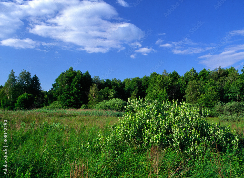 Poleski National Park, Poland