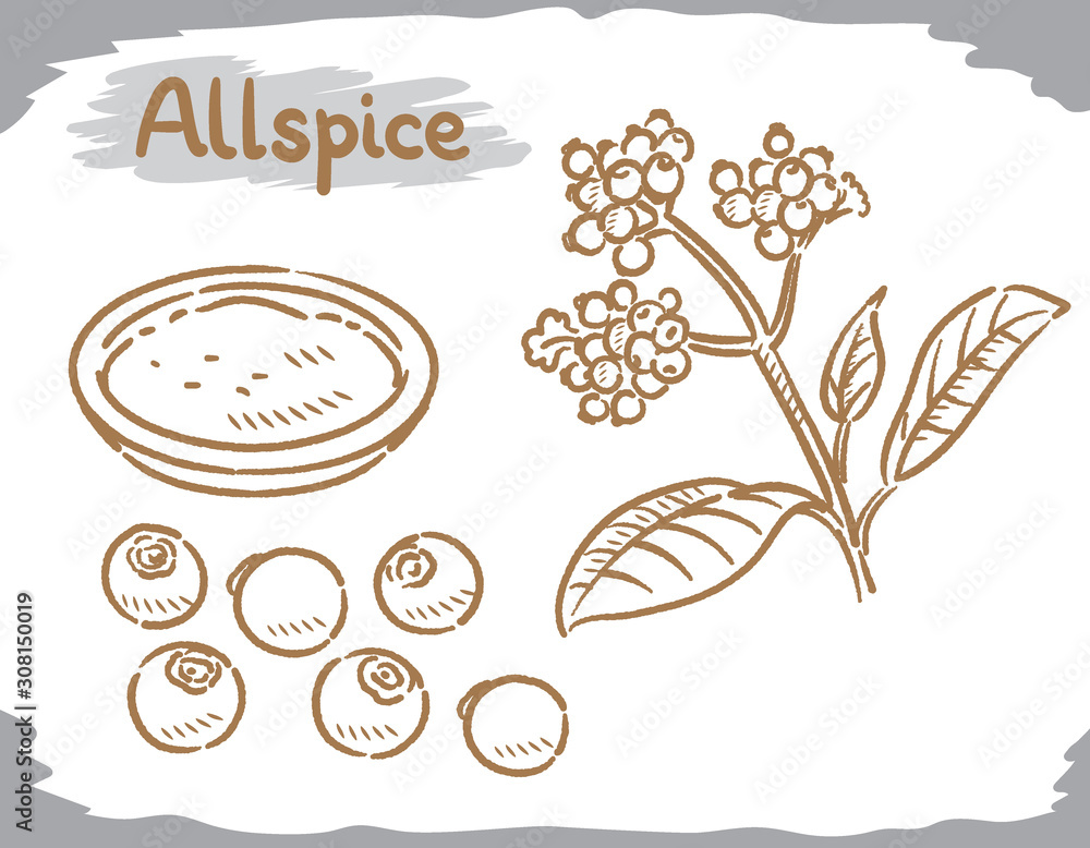 Allspice isolated on white. Allspice isolated on white.