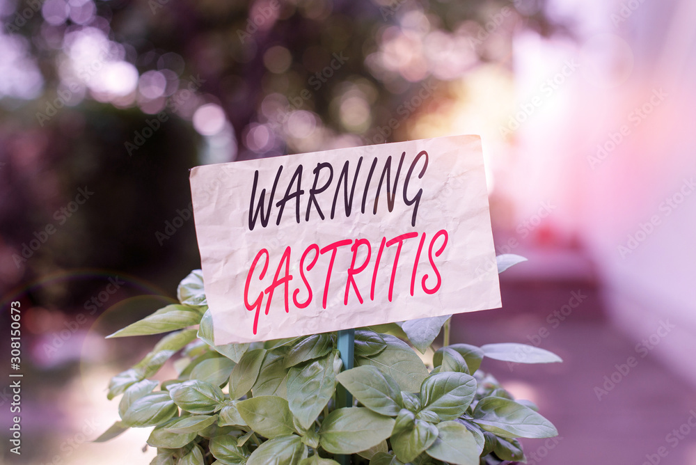 Word writing text Warning Gastritis. Business photo showcasing early