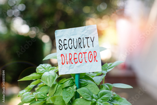 Word writing text Security Director. Business photo showcasing head of a private security force working for a business Plain empty paper attached to a stick and placed in the green leafy plants © Artur