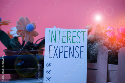 Writing note showing Interest Expense. Business concept for cost of debt that has occurred during a period of time Flowers and writing equipments plus plain sheet above textured backdrop photo