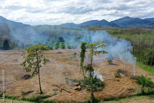 Deforestation. Rainforest cut down and burned to make way for palm oil plantations 