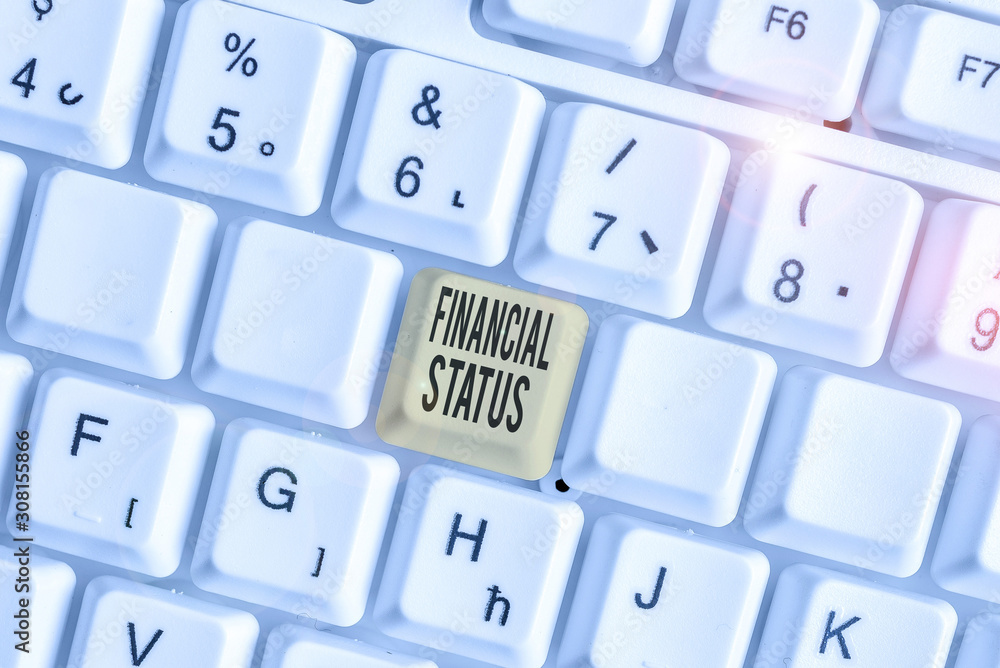 Text sign showing Financial Status. Business photo text level of income into which applicants are categorized Text sign showing Financial Status. Business photo text level of income into which applicants are categorized