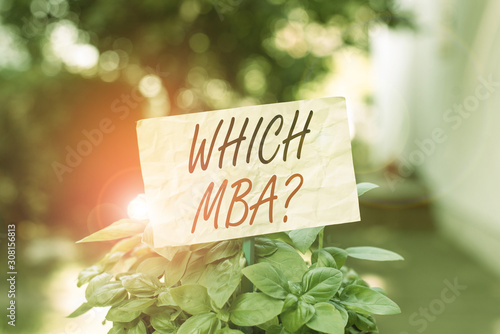 Word writing text Which Mbaquestion. Business photo showcasing asking for master s is degree in business administration Plain empty paper attached to a stick and placed in the green leafy plants © Artur