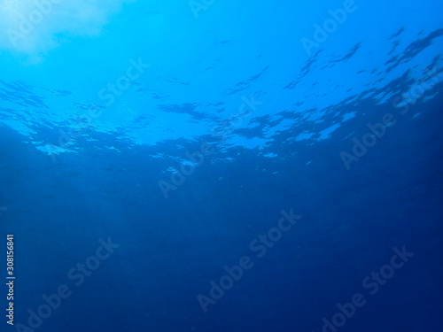 Underwater blue ocean, scuba diving view
