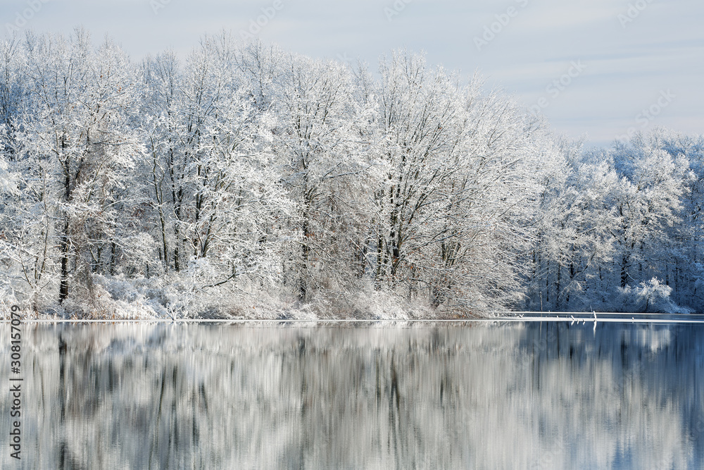 Snow Flocked Shoreline Jackson Hole Lake with Reflections Snow Flocked Shoreline Jackson Hole Lake with Reflections