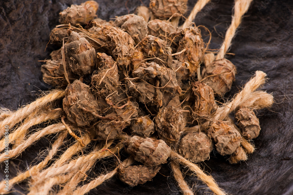 Tiger nuts. Tasty chufa nuts. Healthy superfood Tiger nuts. Tasty chufa nuts. Healthy superfood