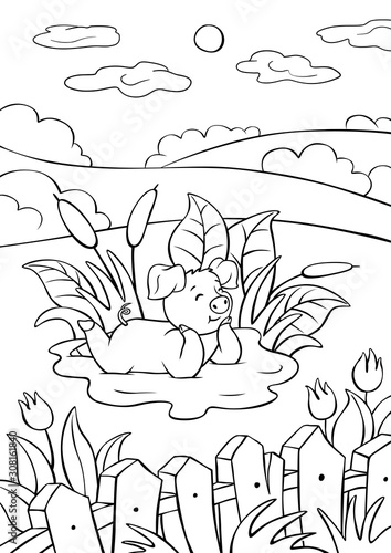 Cute little piggy is lying in a puddle and smiling.