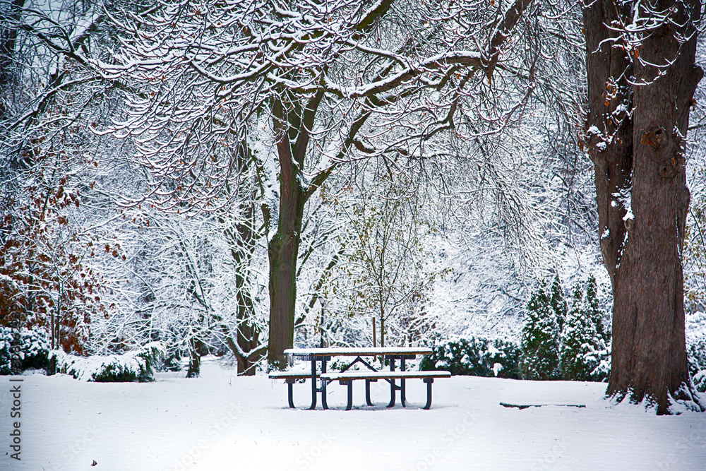 Table and bench under snow in park at winter time