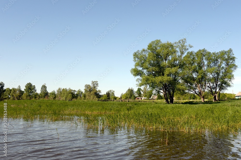 Shore of lake Krasilovo in the Altai territory.Western Siberia. Russia Shore of lake Krasilovo in the Altai territory.Western Siberia. Russia
