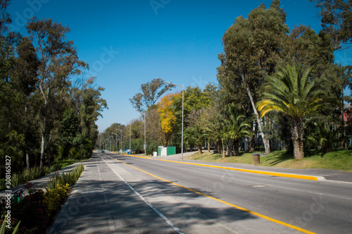 paisaje, arboles, pantas,puebla, mexico, turismo, naturaleza, fuertes, loreto,batalla, 5 de mayo, monumentos, antiguos, fostalezas, castillo, flores, jirasoles, aroles, estatuas, cañones (2)