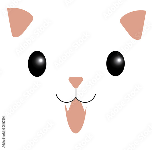 Gatinho branco