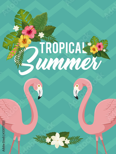 tropical summer poster with flamingos and flowers vector illustration design