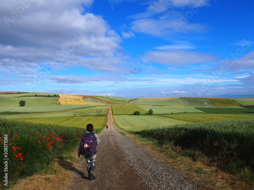 Pilgrim walking in a beautiful landscape on the road to Santiago de Compostela, Camino de Santiago, Way of St. James, Journey from Najera to Granon, French way, Spain © Mithrax
