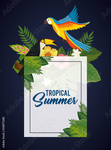 tropical summer poster with parrot and toucan vector illustration design