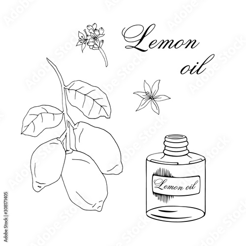 Vector sketch illustration with essential oil of lemon