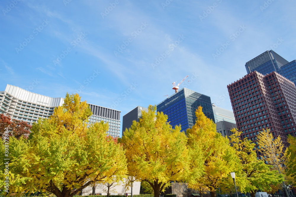 Obraz premium 東京駅丸の内オフィスビル