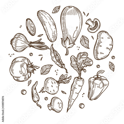 Organic vegetables banner with hand drawn icons set in circle