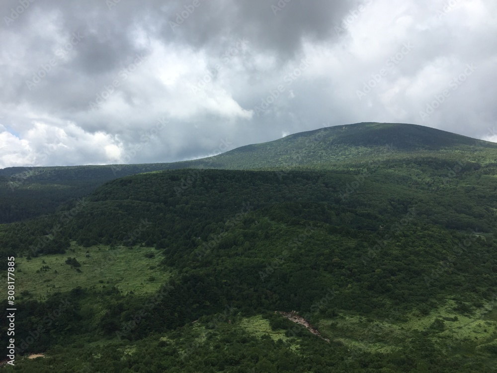 Obraz premium Summer view of Mountain