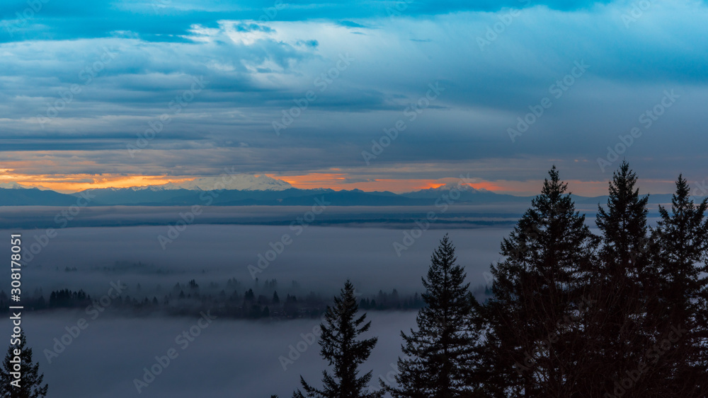 Conifers peeking through dense cloud cover carpeting Fraser Valley at sunrise