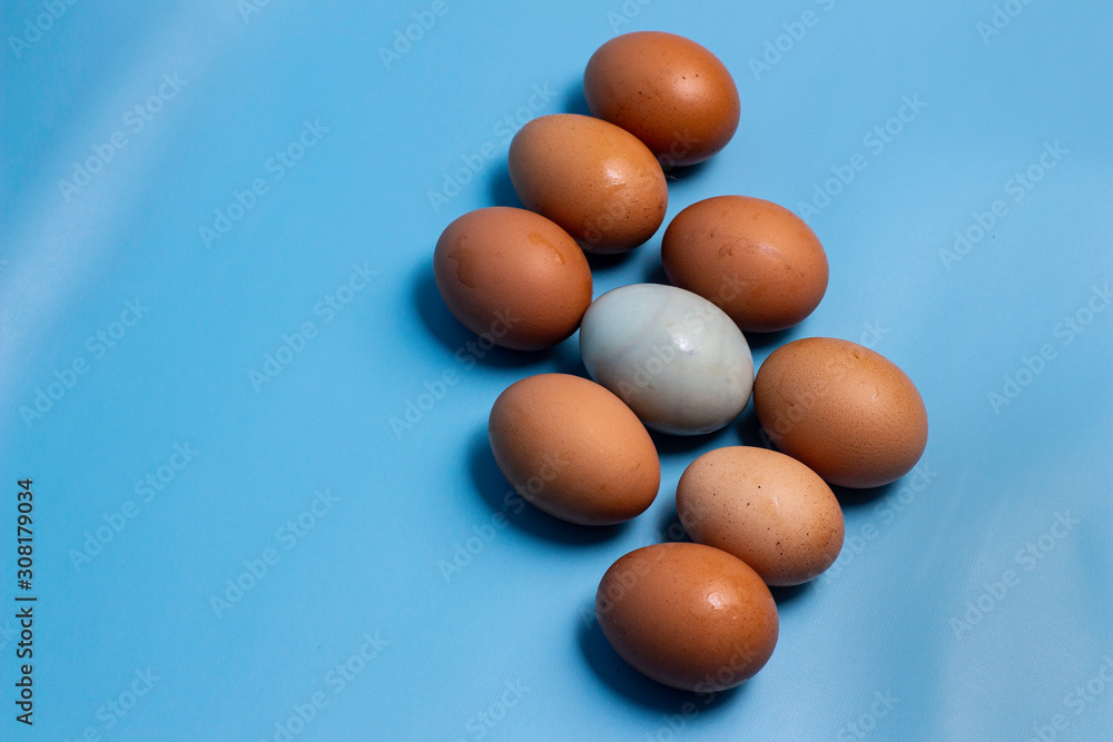 eggs isolated on blue background, copy space eggs isolated on blue background, copy space