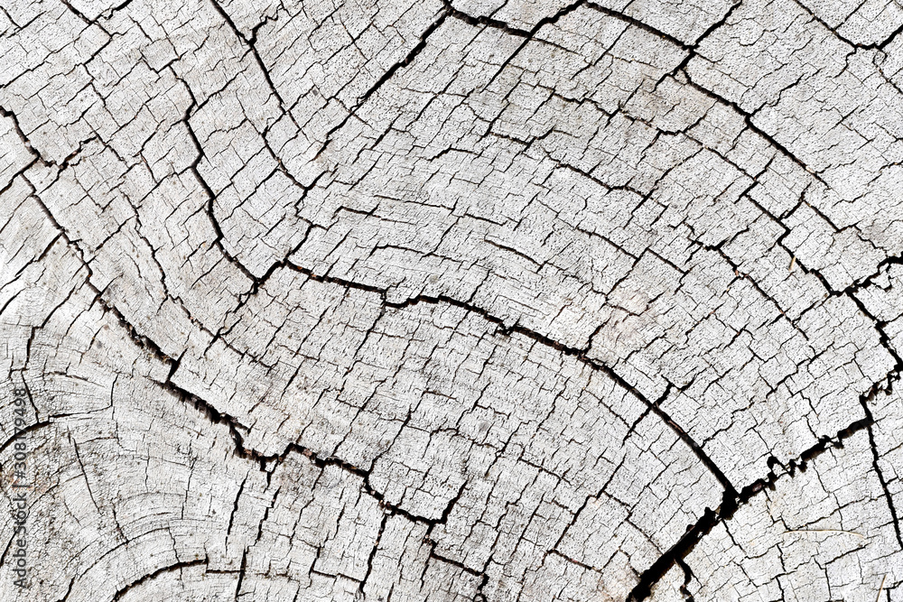 Full frame, Texture pattern of wooden old for background. Full frame, Texture pattern of wooden old for background.