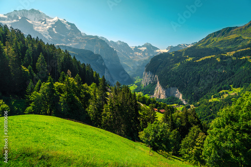 Alpine green fields and snowy mountains near Wengen, Lauterbrunnen, Switzerland