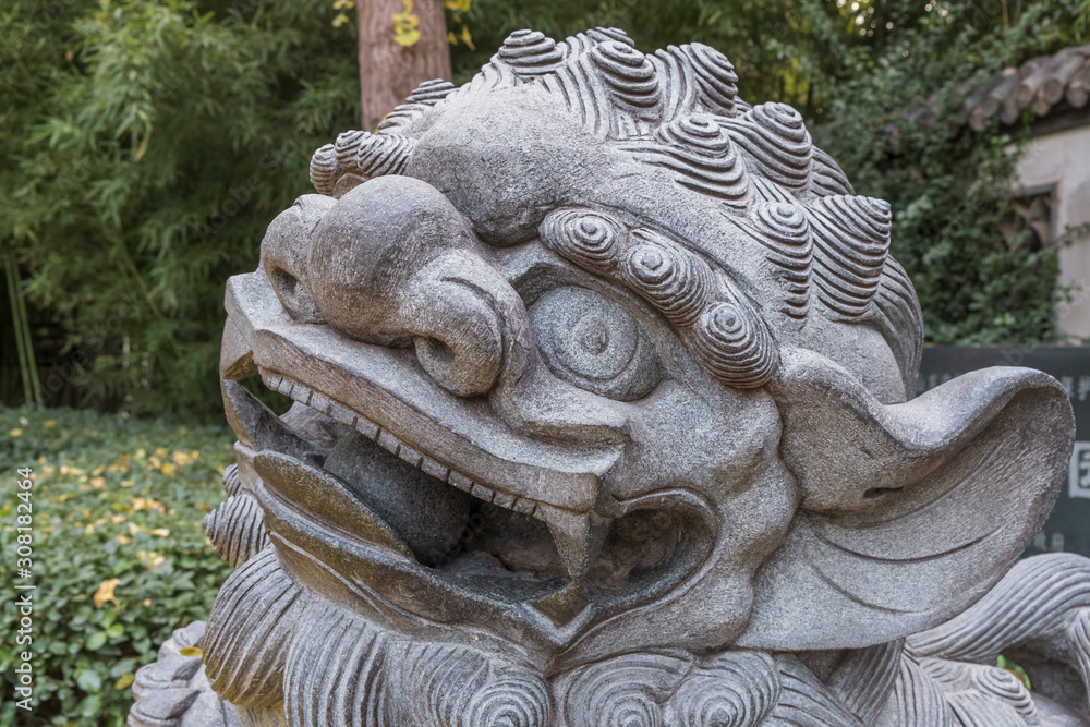 Chinese lion closeup