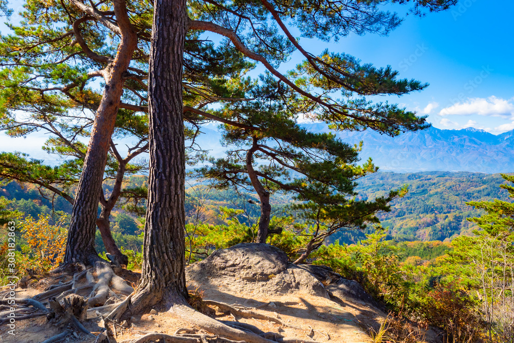 Fototapeta premium Kofu. Japan. Autumn canyon. Shosenkyo Gorge. Landscape of the Japanese gorge. View of the Shosenkyo Gorge from the cliff. Nature of the city of Kofu. Kofu on the background of blue sky. Japan nature
