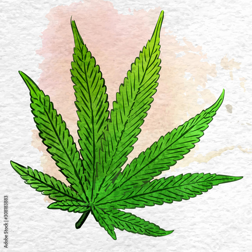 Marijuana leaf on the old watercolor paper background, vector image