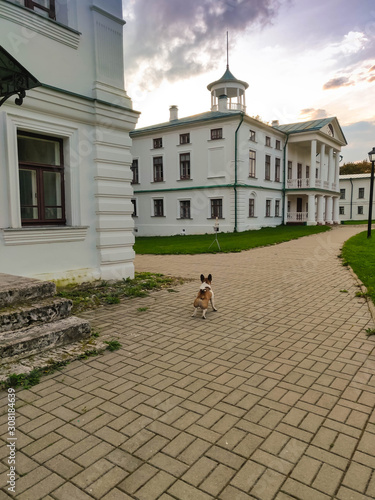 Estate of the russian poet Nekrasov in the Yaroslavl region from several white houses