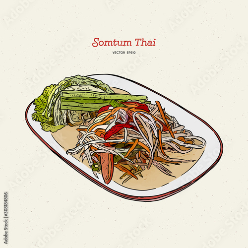 papaya salad or som-tum , thai food. hand drawn sketch vector.