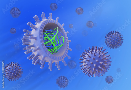 The structure of the virus