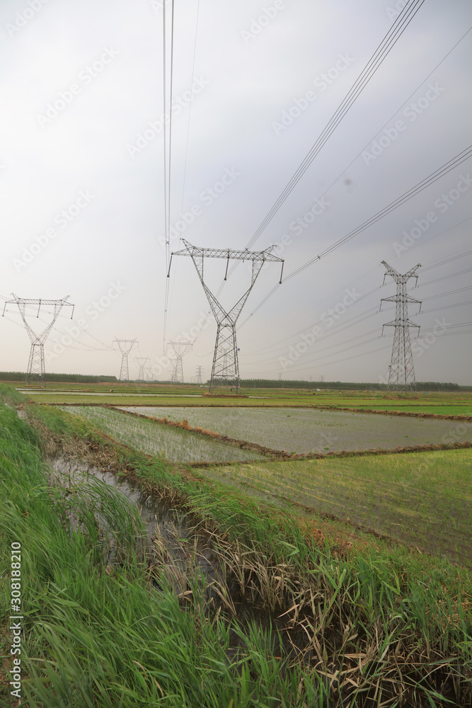 rice fields and electric towers in China