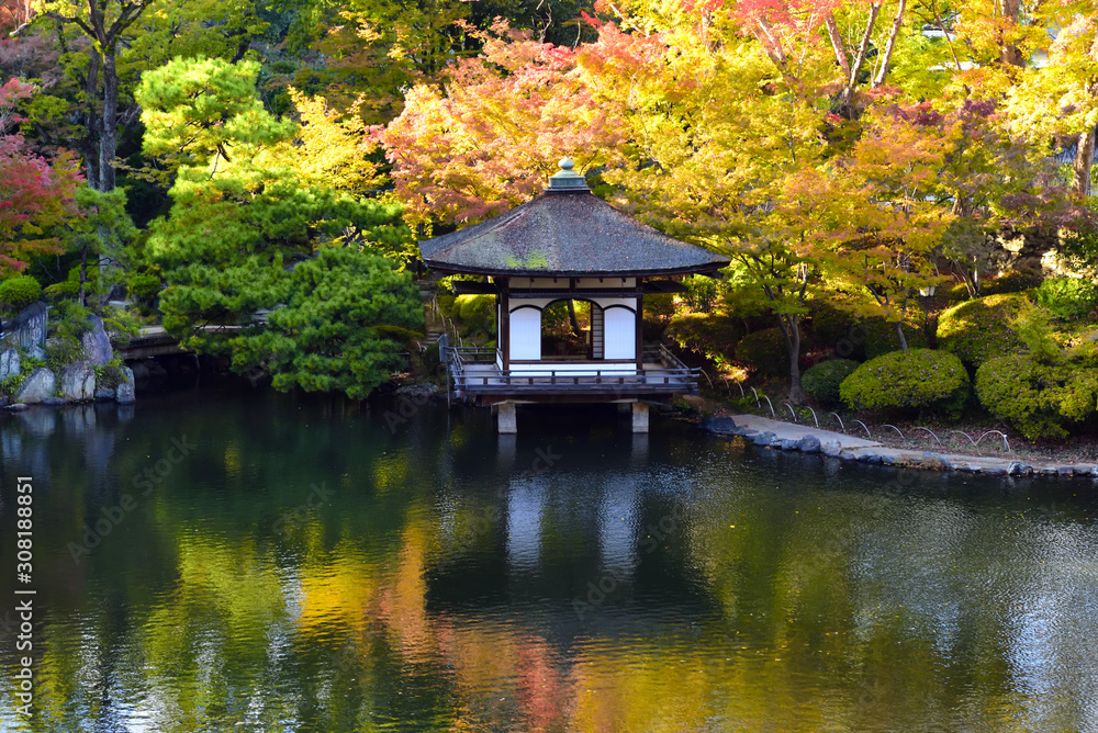 Autumn season at Momijidani Garden in Wakayama, Wakayama Prefecture, Japan Autumn season at Momijidani Garden in Wakayama, Wakayama Prefecture, Japan