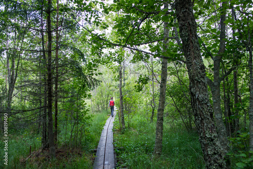 Promeneur (garçon) dans la forêt, Parc national de Lahemaa, Estonie.