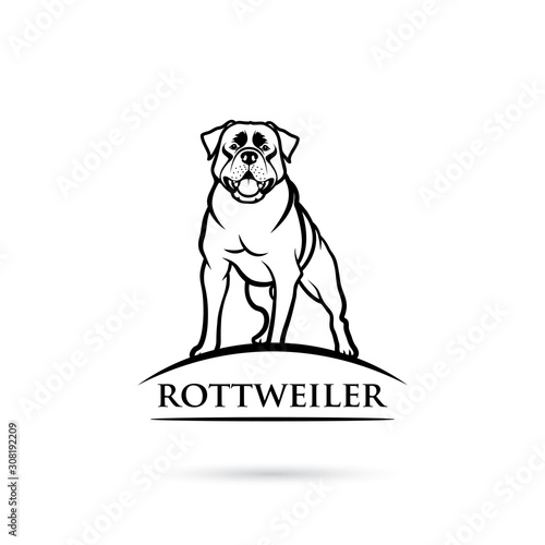 Rottweiler dog - isolated outlined vector illustration