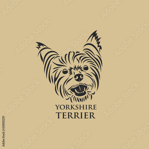 Yorkshire terrier - isolated vector illustration