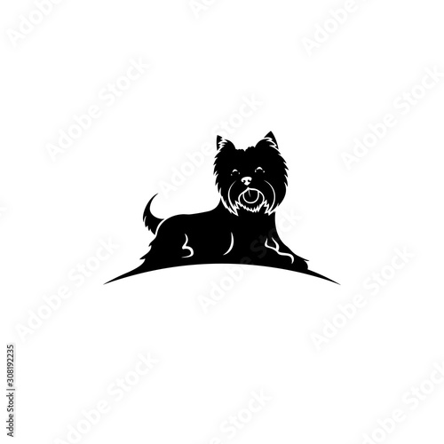 Yorkshire terrier - isolated vector illustration