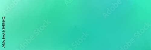 vintage texture, distressed old textured painted design with medium turquoise, aqua marine and turquoise colors. background with space for text or image. can be used as header or banner