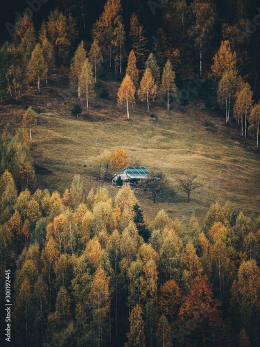 Idyllic autumn landscape in...