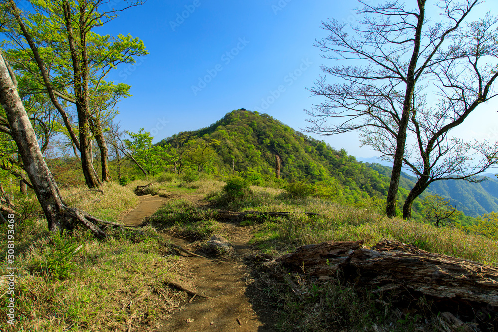 蛭ヶ岳、丹沢山、塔ノ岳 62