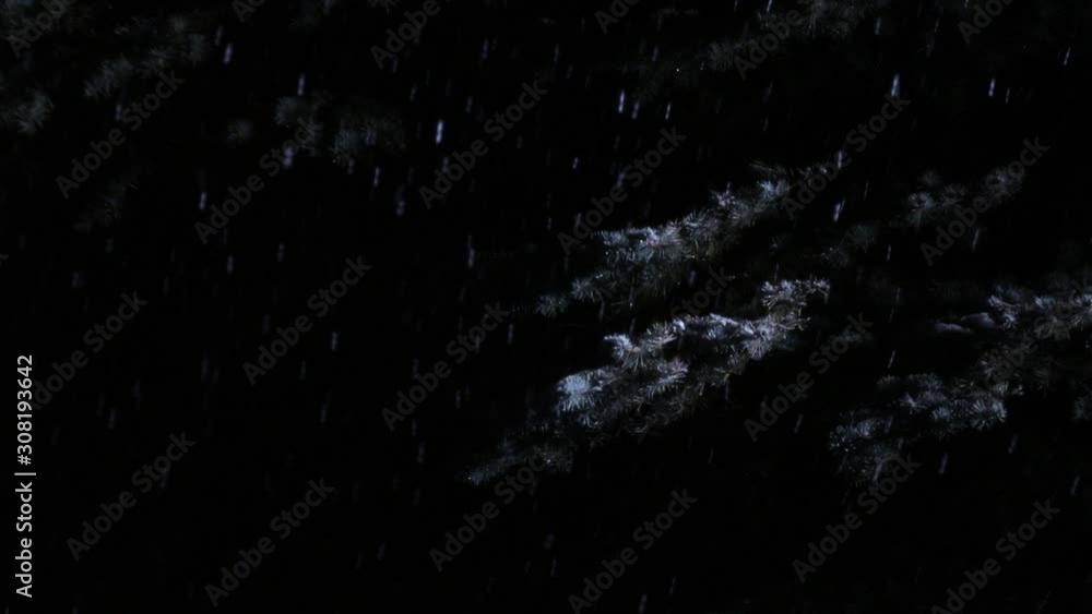 Heavy snow falls in the winter park at night. Dark background for the inscription and design of the video. Heavy snow falls in the winter park at night. Dark background for the inscription and design of the video.