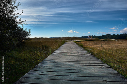 Wooden path in the countryside and in the background people walking towards the forest