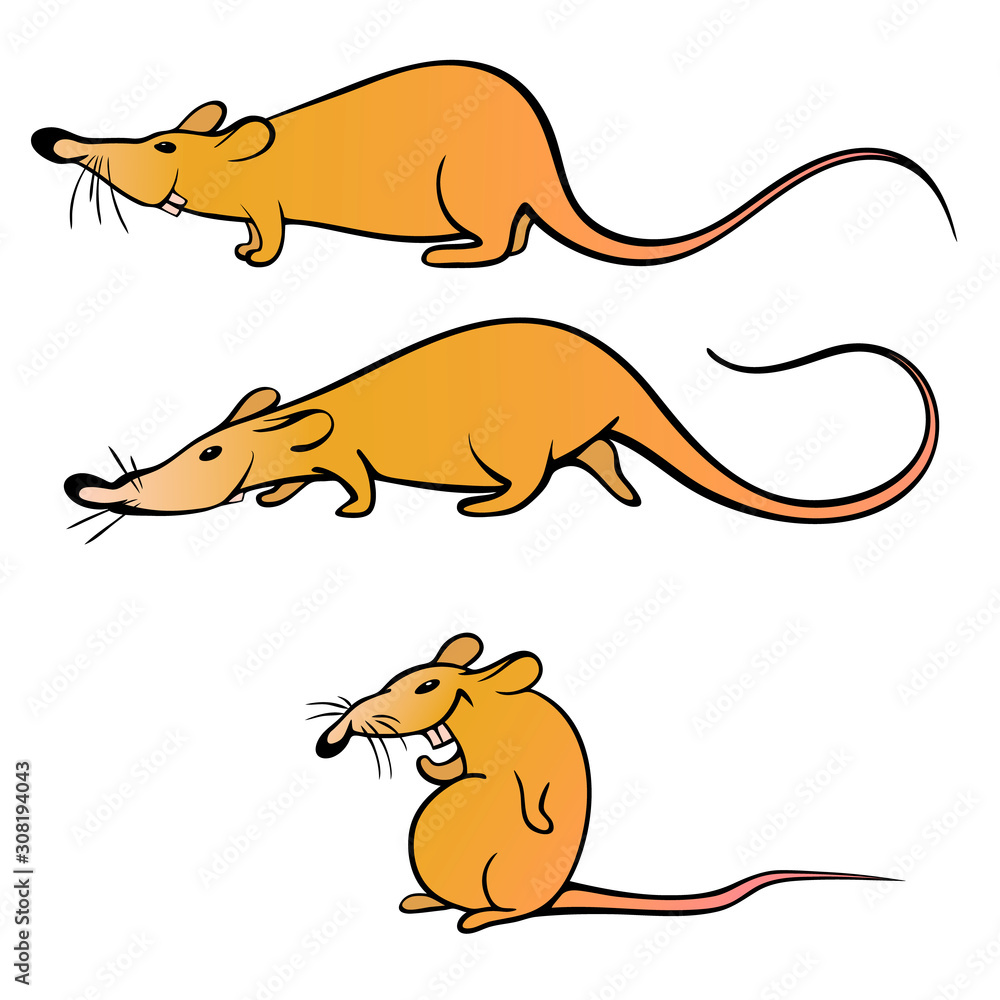 Fototapeta premium The rat is yellow as a symbol of 2020. Vector illustration. Cartoon rat