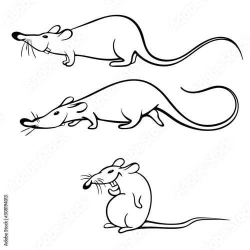 Rat as a symbol of 2020. Vector illustration and coloring book. Cartoon rat