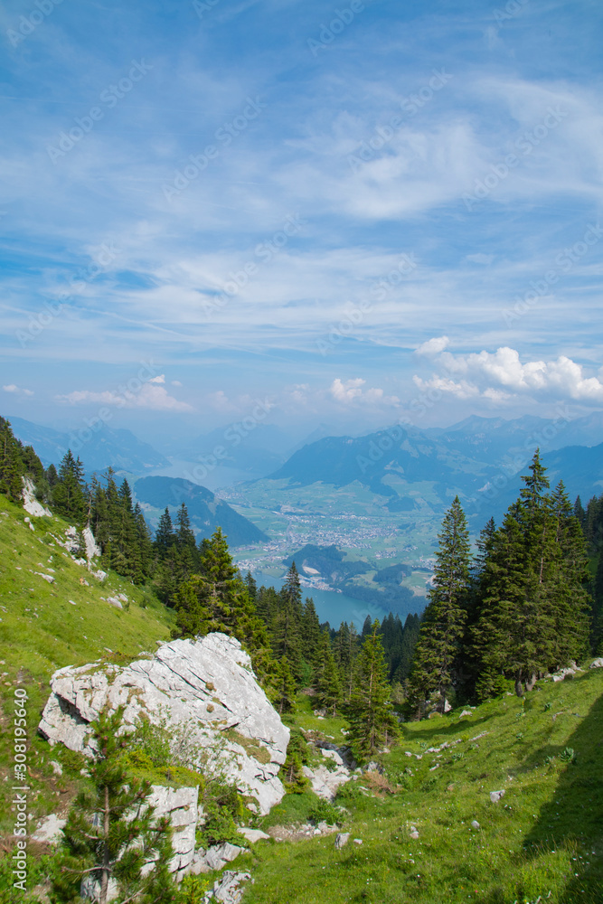 Fototapeta premium view of beautiful landscape in the Alps with fresh green meadows and trees of forest at mountain sunny day with blue sky and clouds in springtime.