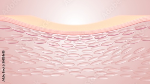 3D rendering The skin structure layer Microstructure photo