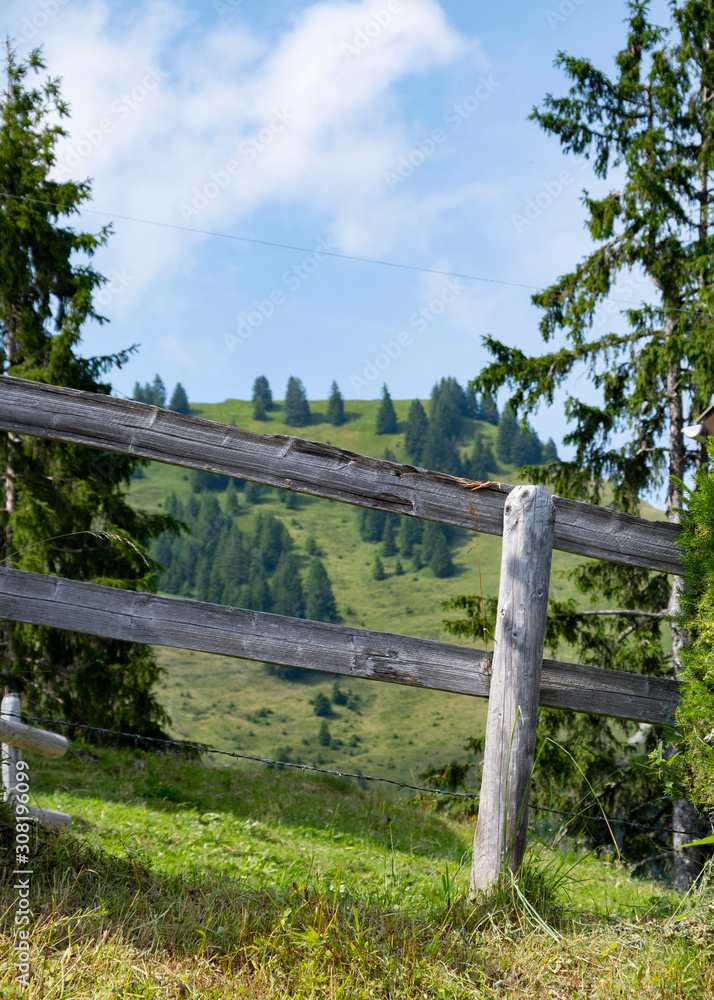 Animals woodn fence and a background of hills with trees and green grass land